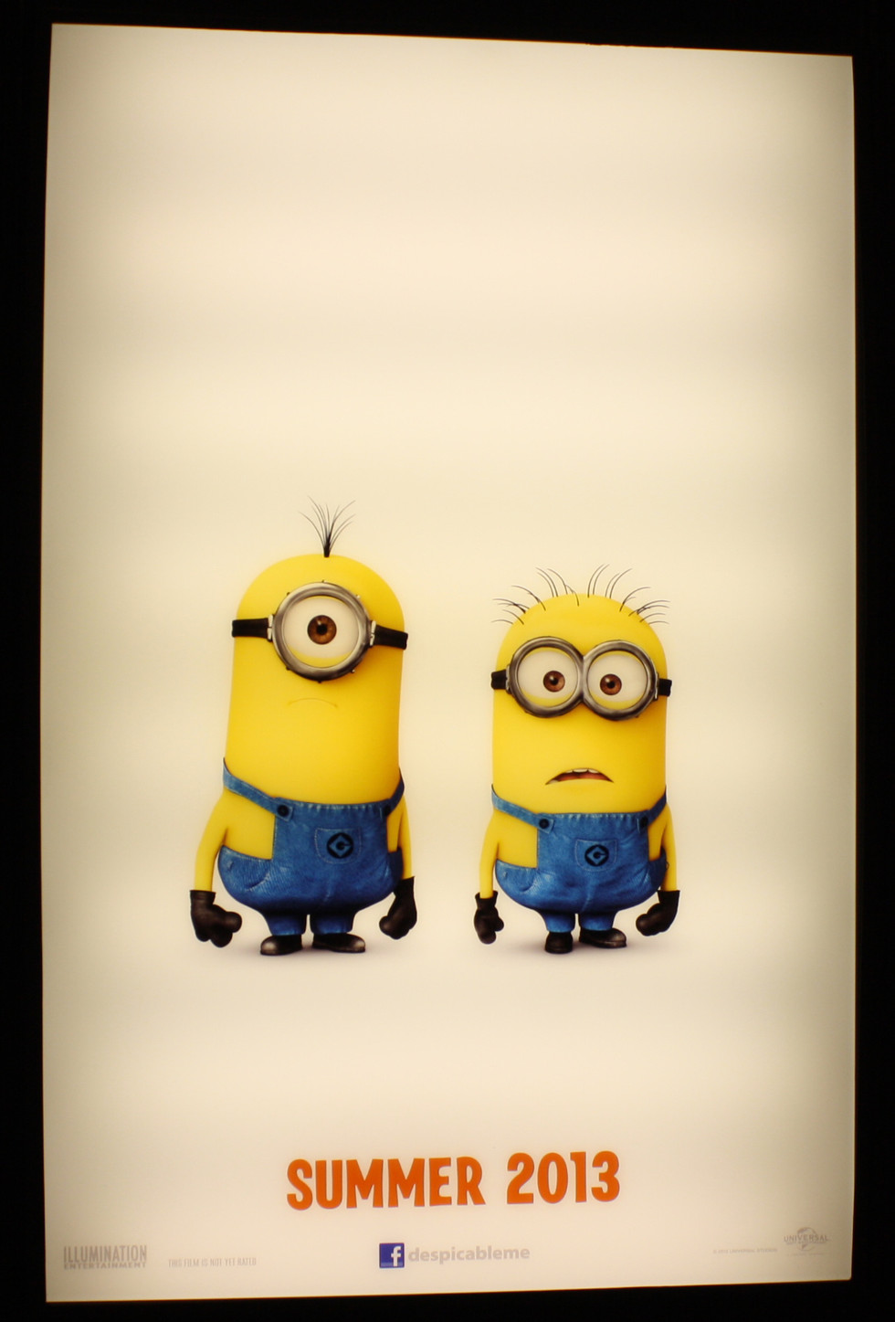 Despicable Me 2 - Movie Poster #6 (Large)
