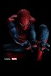 The Amazing Spider-Man - Tiny Poster #1