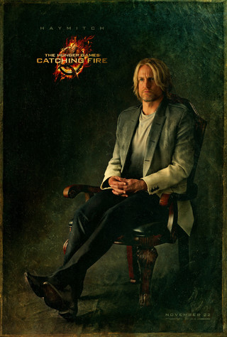 The Hunger Games: Catching Fire - Movie Poster #11 (Small)