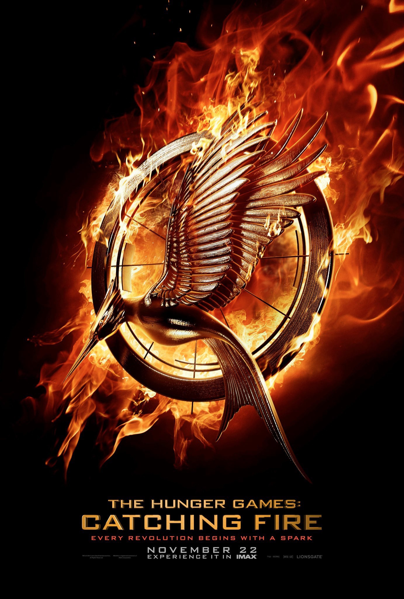 The Hunger Games: Catching Fire - Movie Poster #14 (Original)