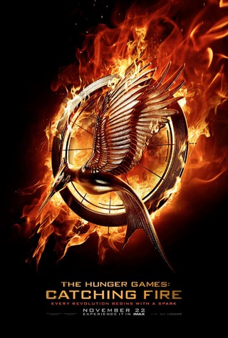 The Hunger Games: Catching Fire - Movie Poster #14 (Small)