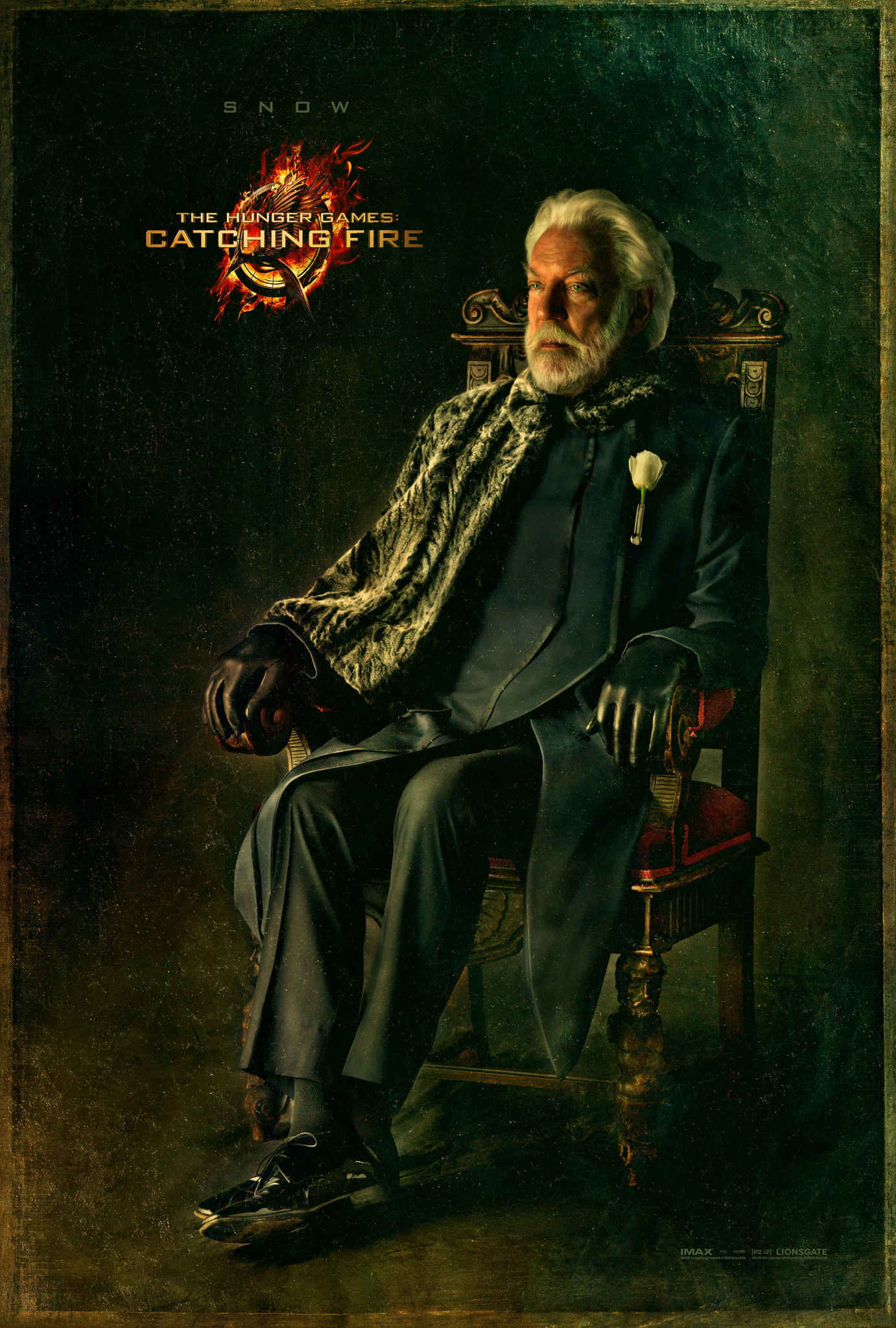 The Hunger Games: Catching Fire - Movie Poster #5 (Original)