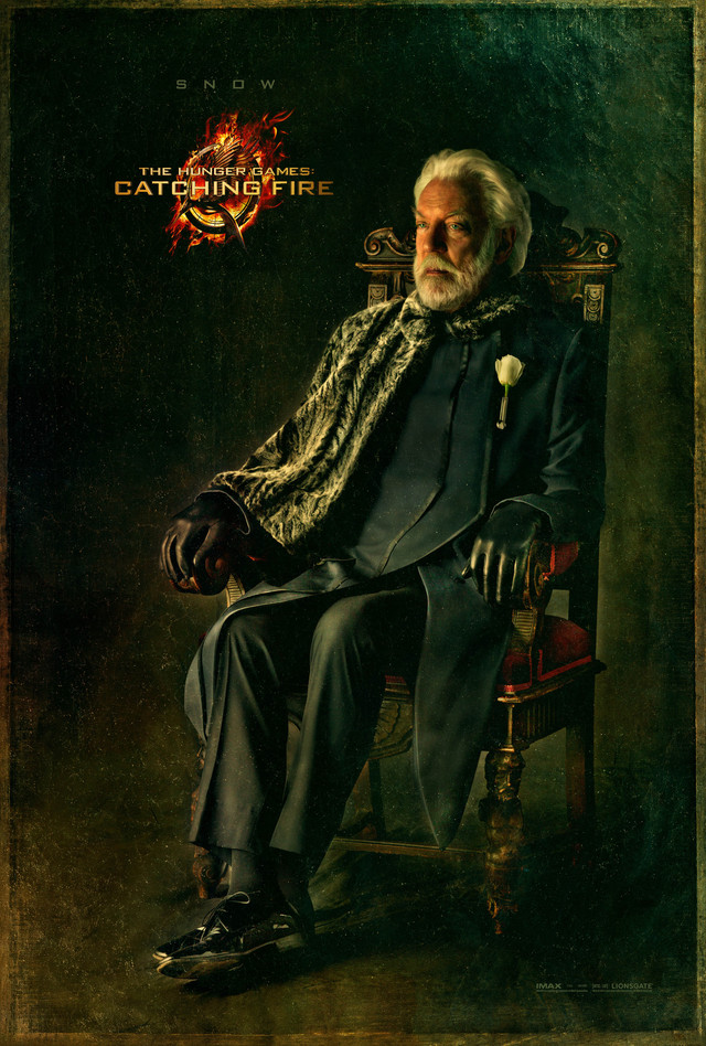 The Hunger Games: Catching Fire - Movie Poster #5