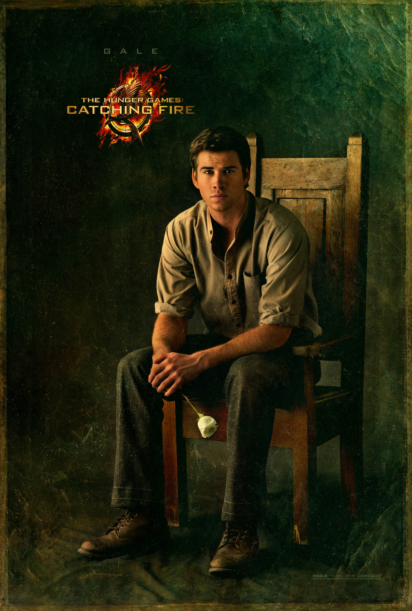The Hunger Games: Catching Fire - Movie Poster #7 (Original)