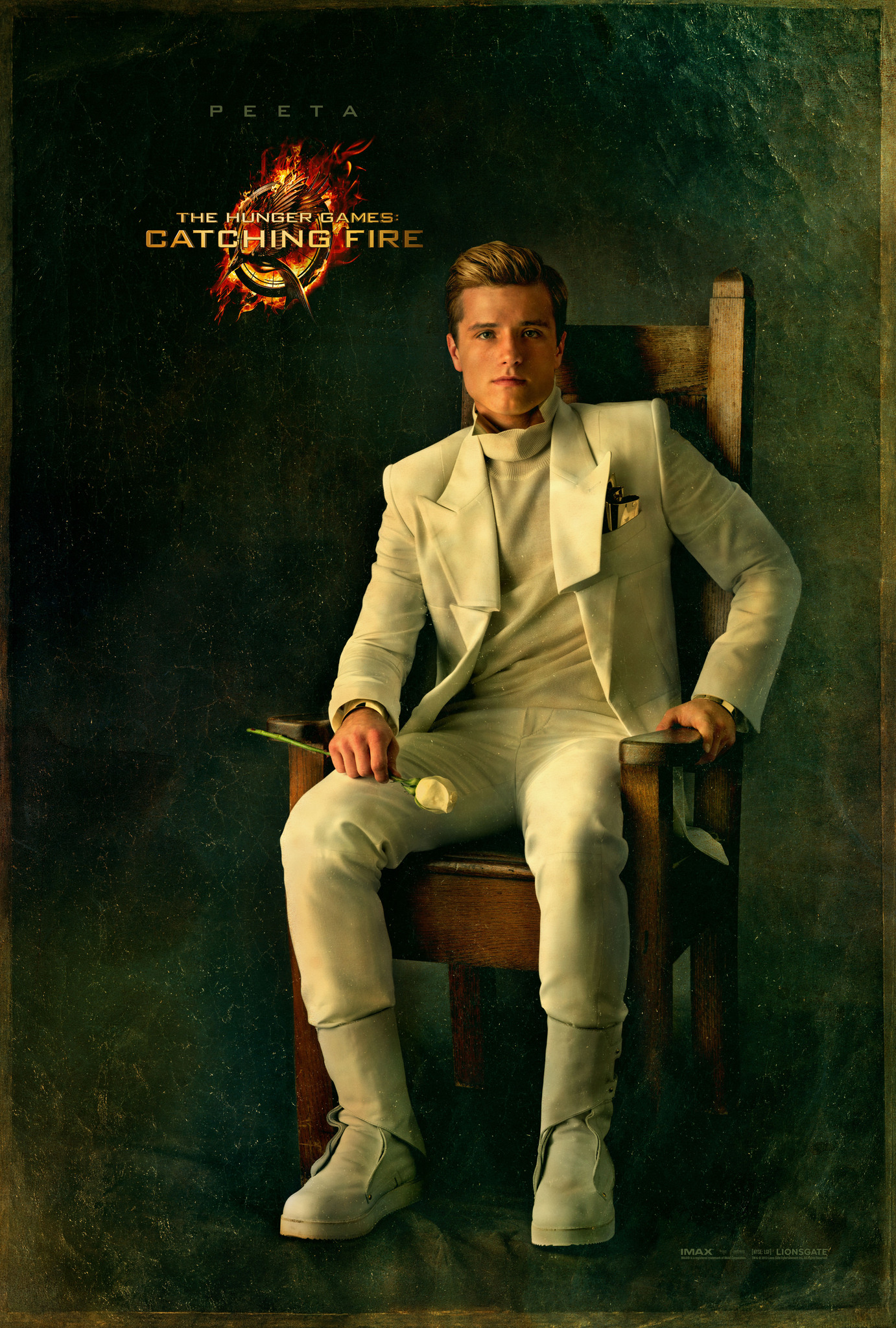 The Hunger Games: Catching Fire - Movie Poster #8 (Original)