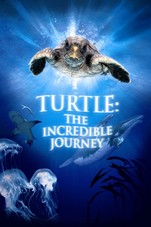 Turtle: The Incredible Journey Small Poster