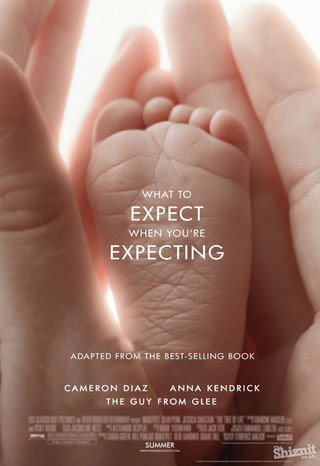 What to Expect When You're Expecting - Movie Poster #6 (Small)